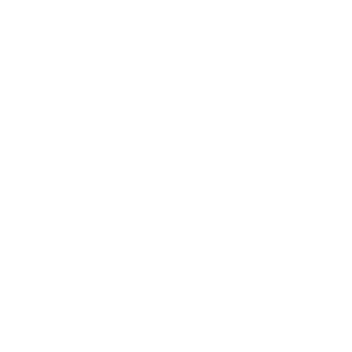 Fortune ON Partners Executive Search