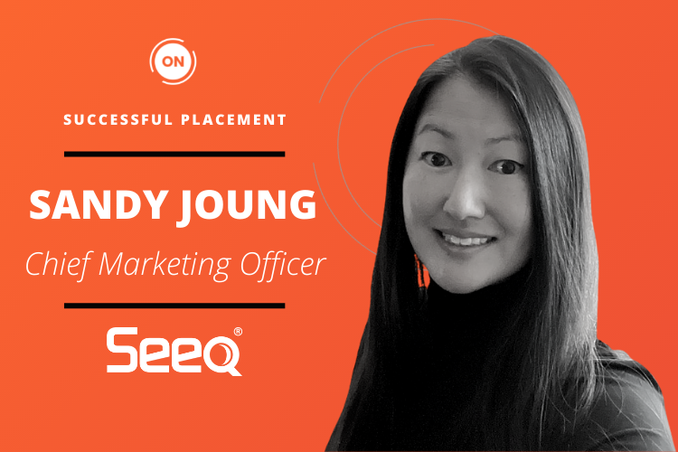SUCCESSFUL PLACEMENT: SEEQ CORPORATION – CHIEF MARKETING OFFICER